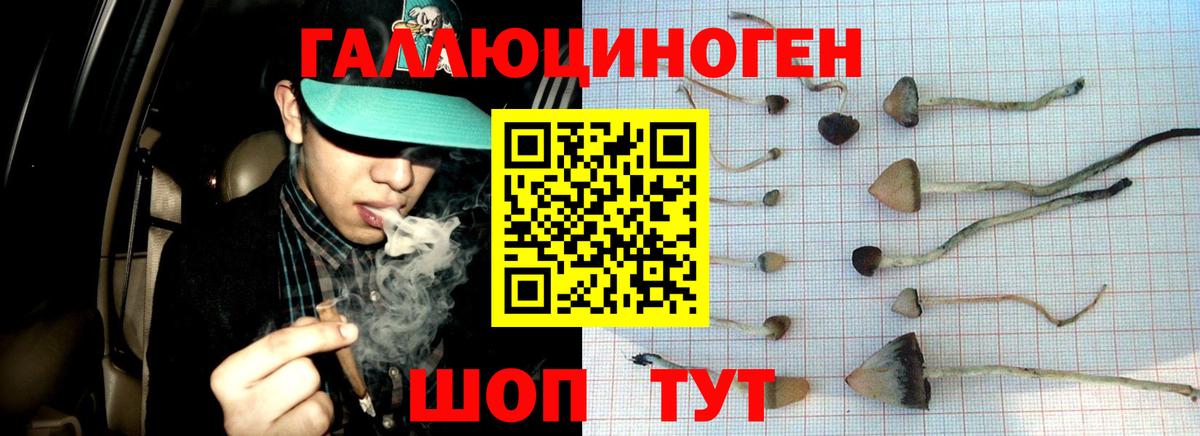 Знаменск  Псилоцибиновые грибы мухоморы  Вход с VPN 