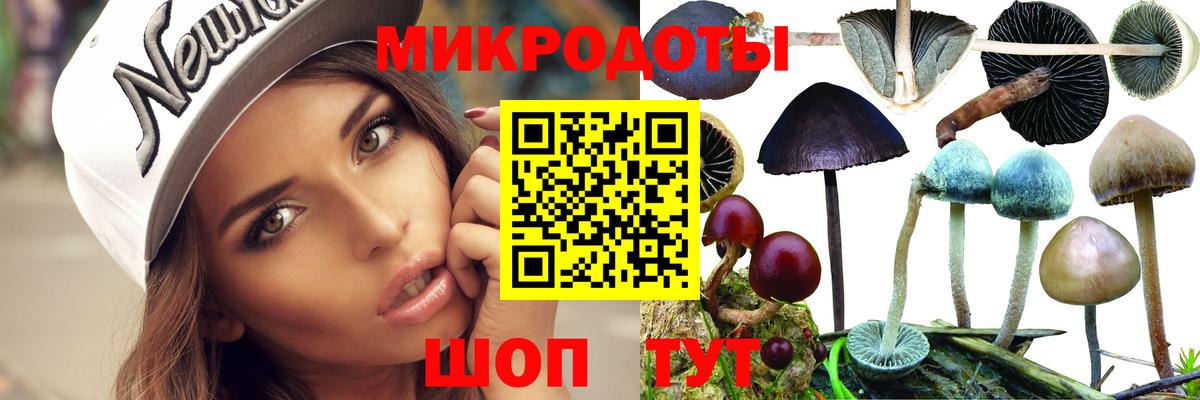 Галлюциногенные грибы Magic Shrooms Знаменск